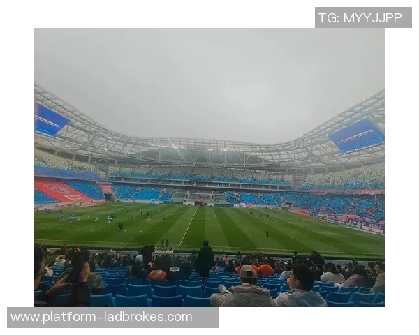 足球数字化时代的到来如何改变我们的观赛体验与参与方式